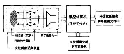 Image 2.jpg